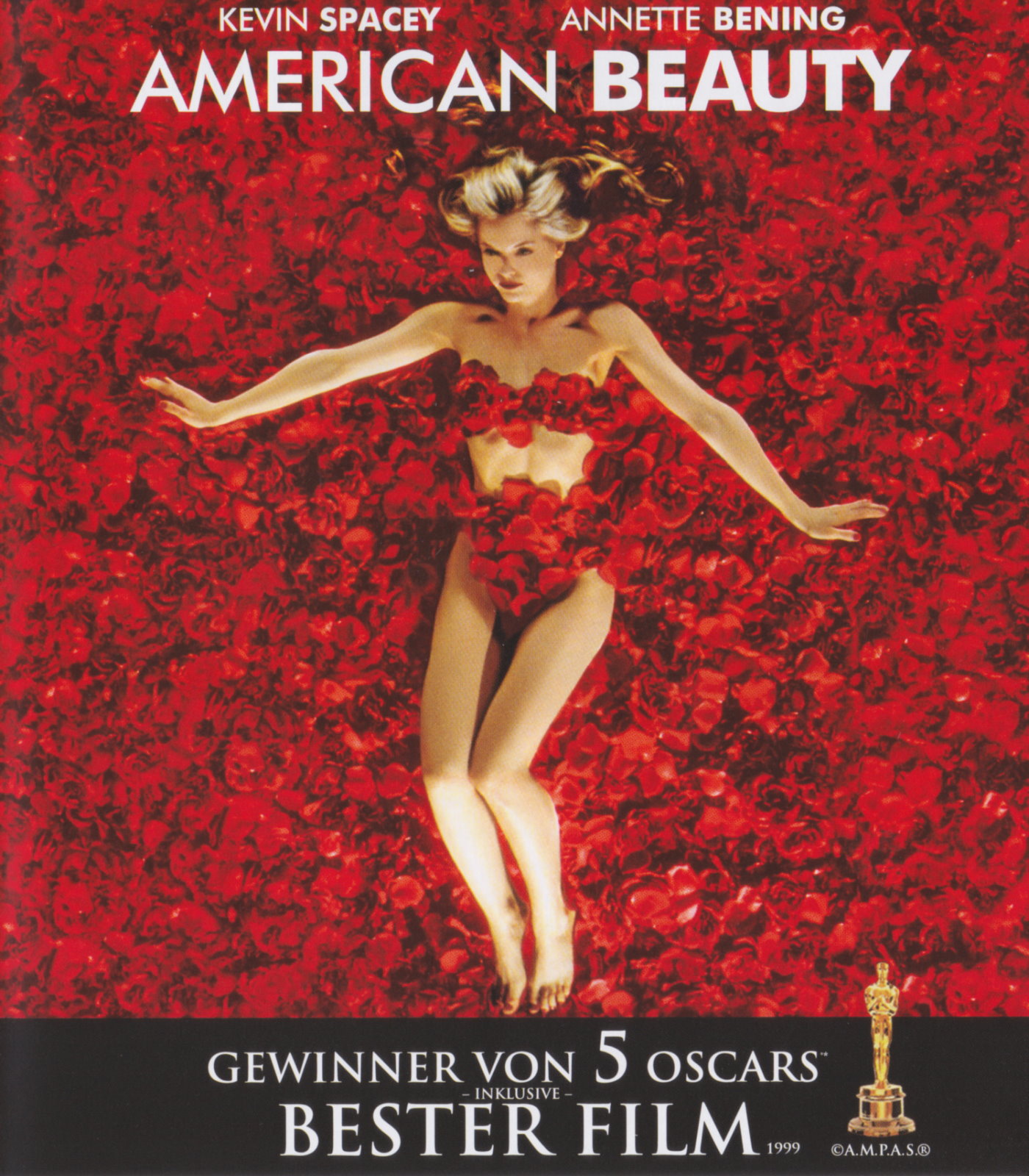 Cover - American Beauty.jpg