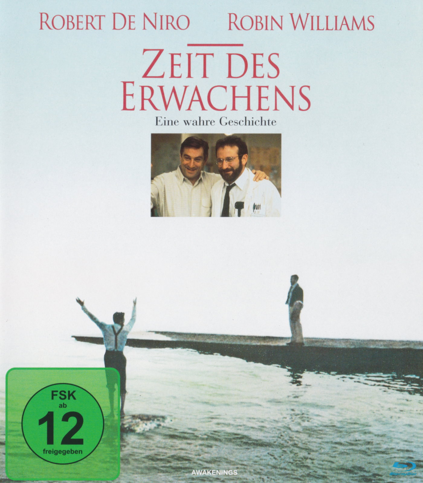 Cover - Zeit des Erwachens.jpg