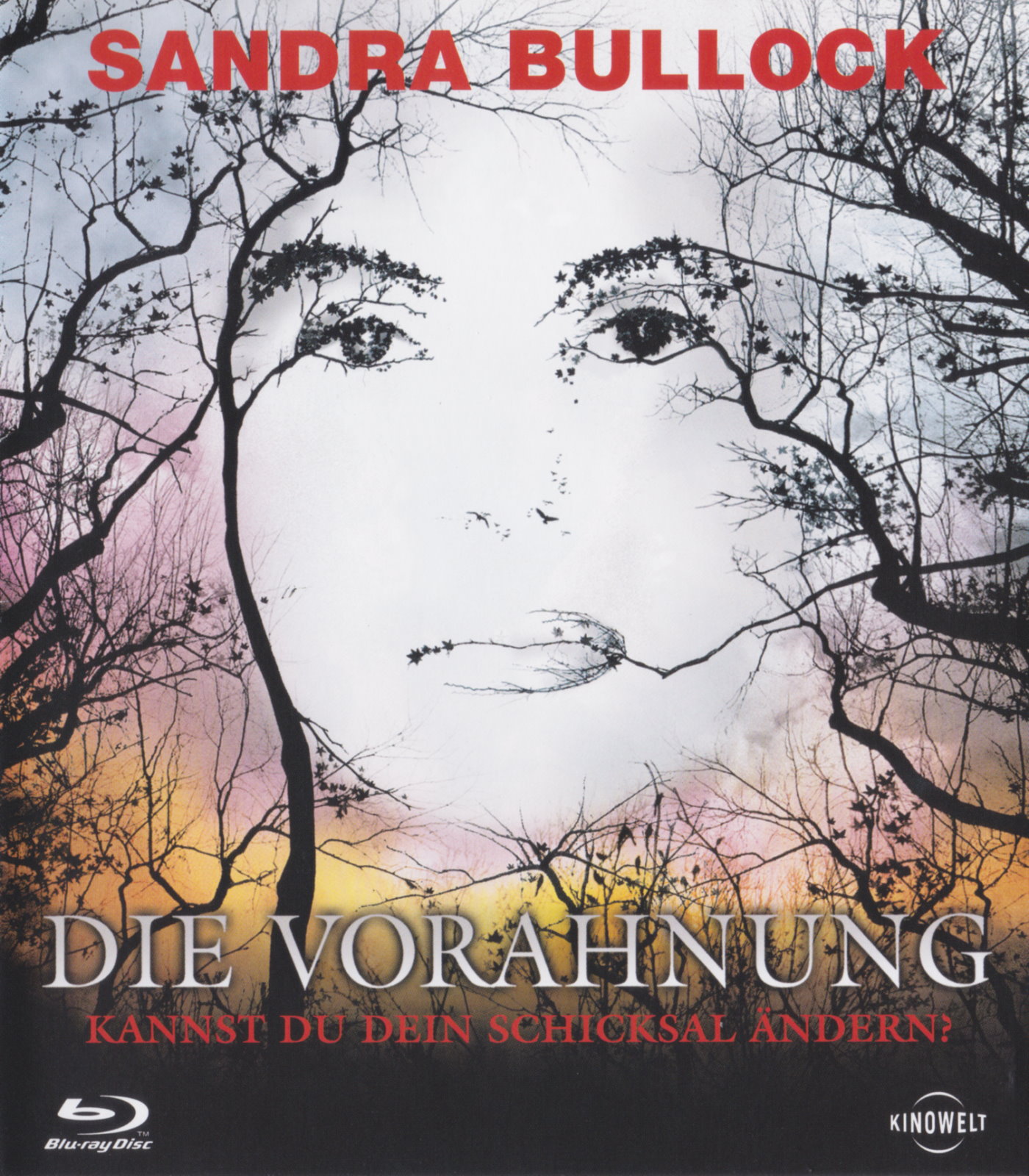 Cover - Die Vorahnung.jpg