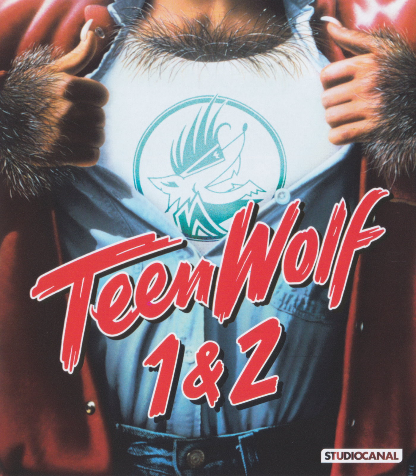 Cover - Teen Wolf 2.jpg