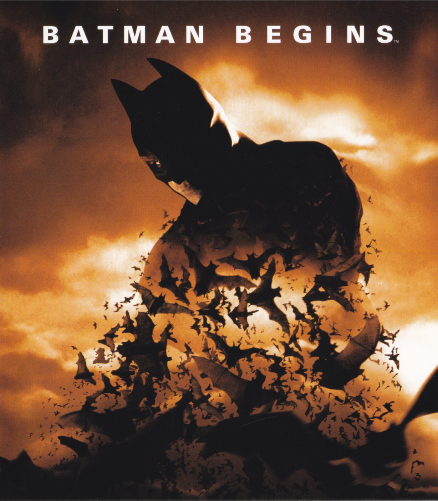 Cover - Batman Begins.jpg